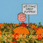 pumpkin patch captions